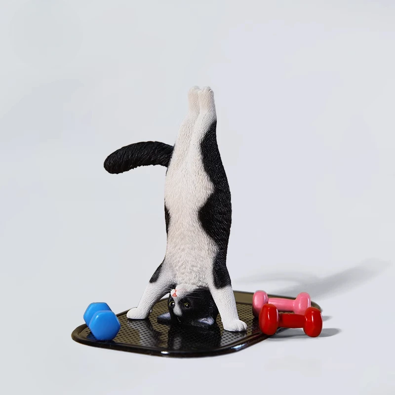 1/6 Yoga cat model simulation  - Yoga Fitness Model recension och pris