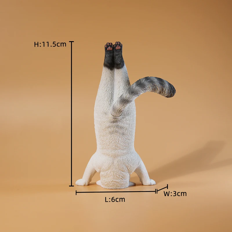 1/6 Yoga cat model simulation  - Yoga Fitness Model recension och pris