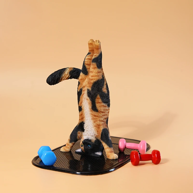 1/6 Yoga cat model simulation  - Yoga Fitness Model recension och pris