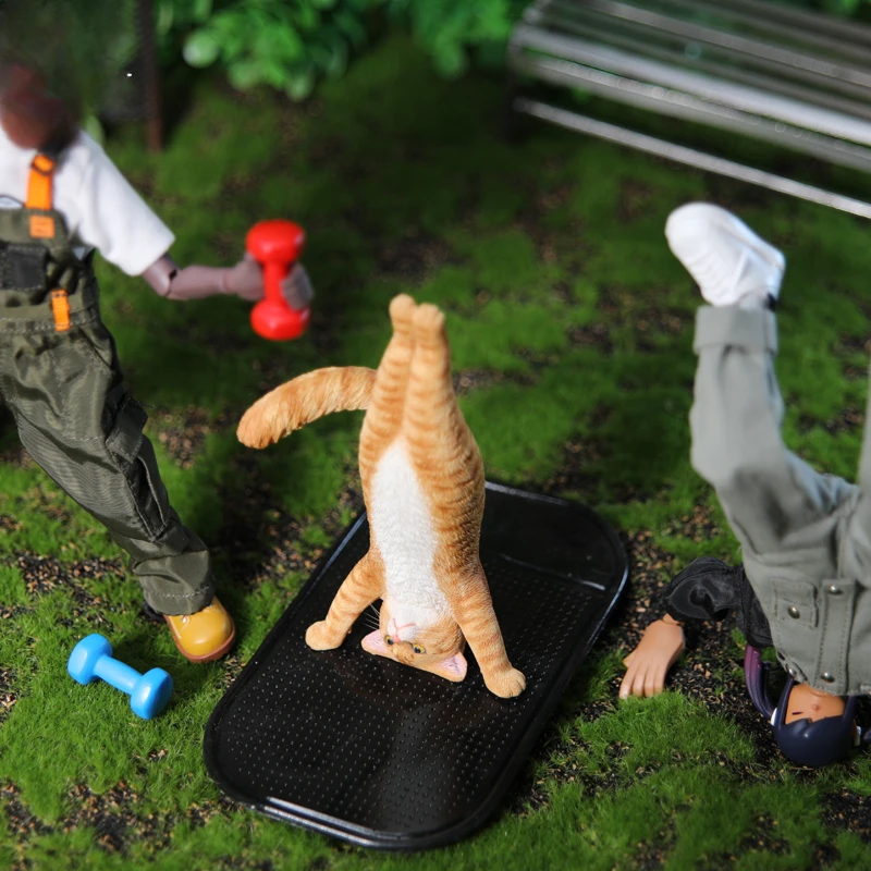 1/6 Yoga cat model simulation  - Yoga Fitness Model recension och pris